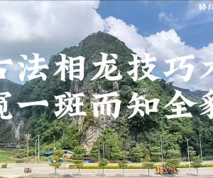 古法相龙技巧术【窥一斑而知全豹】