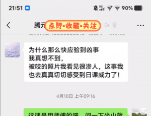 葬课的效应,【曾子曰；慎终追远,民德归厚唉】。