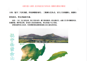 十四：鬼牛二气灾害荫，拜礼神佛崇香灯。二煞独行岂为吉，宜与丁艮相兼行，相兼行度龙局吉，男女多痣家丰盈。
