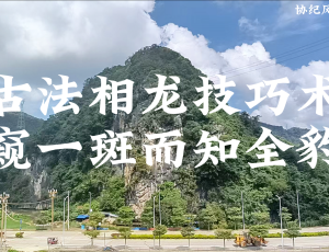 古法相龙技巧术【窥一斑而知全豹】