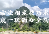 古法相龙技巧术【窥一斑而知全豹】