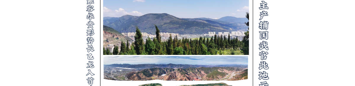 宗地草图-鳄鱼晒太阳