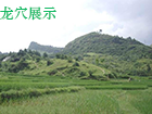中华龙文