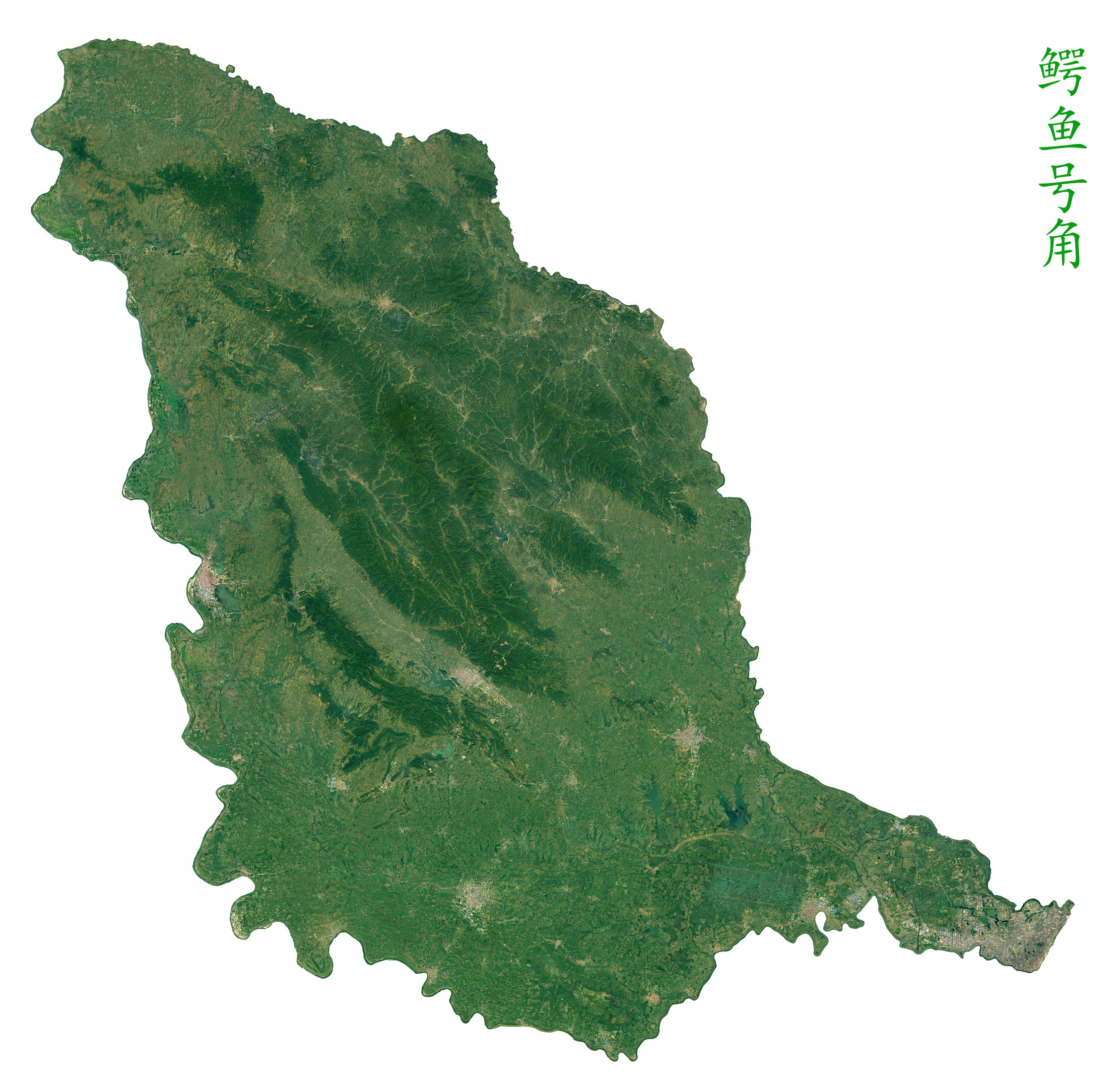 鳄鱼号角.jpg