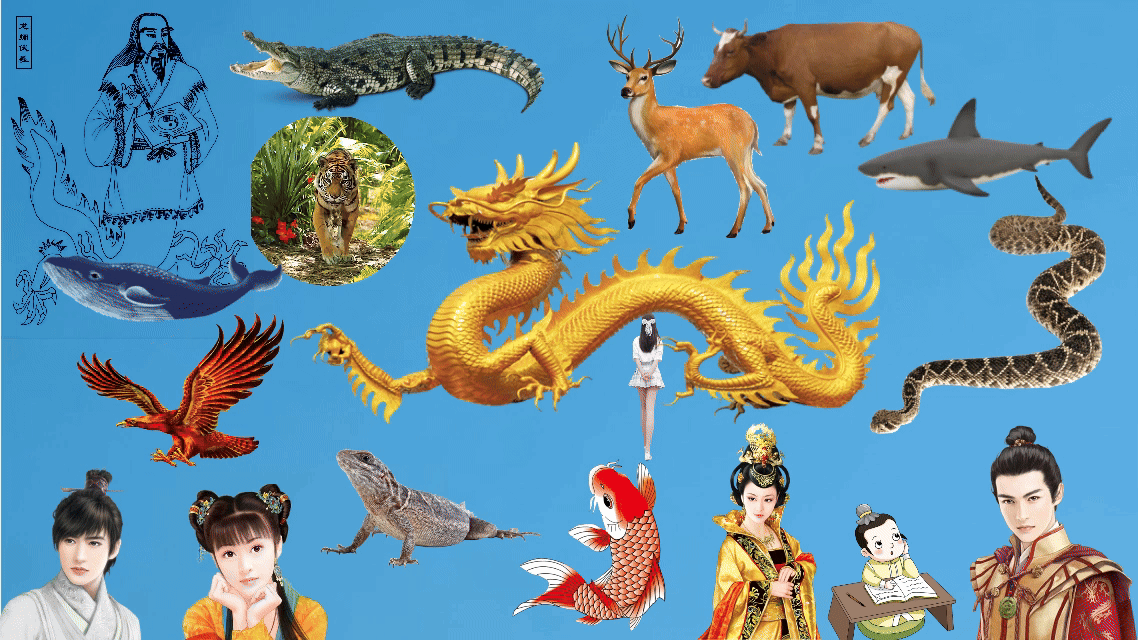 P-2龙图腾课件动画.gif