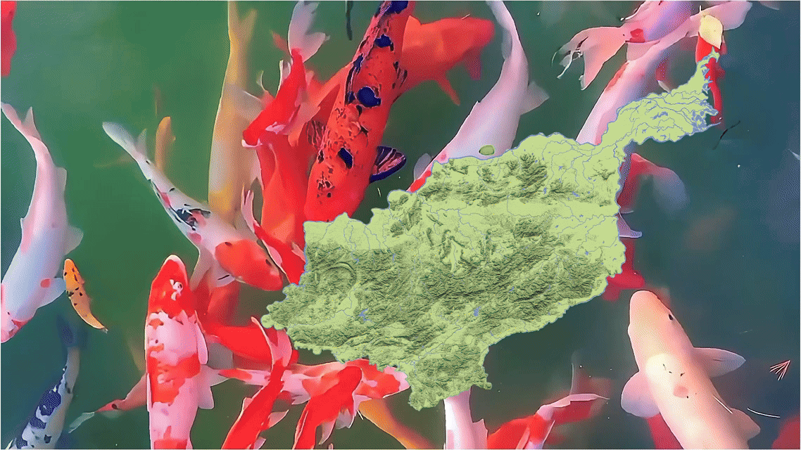 赣龙1.gif
