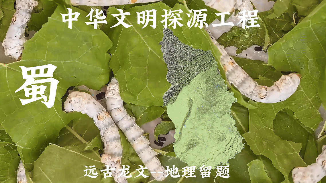 蜀龙.gif