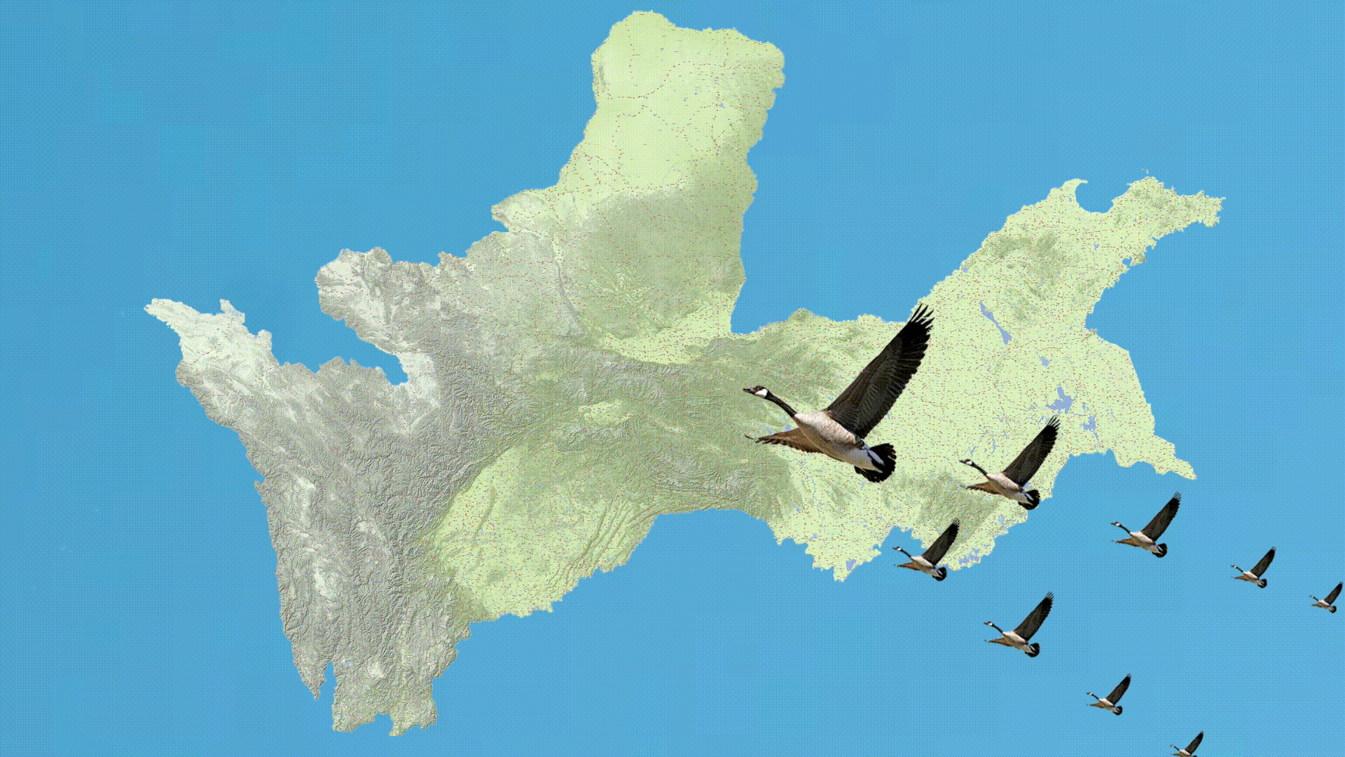 豫剑动漫[00h00m00s-00h00m09s].gif