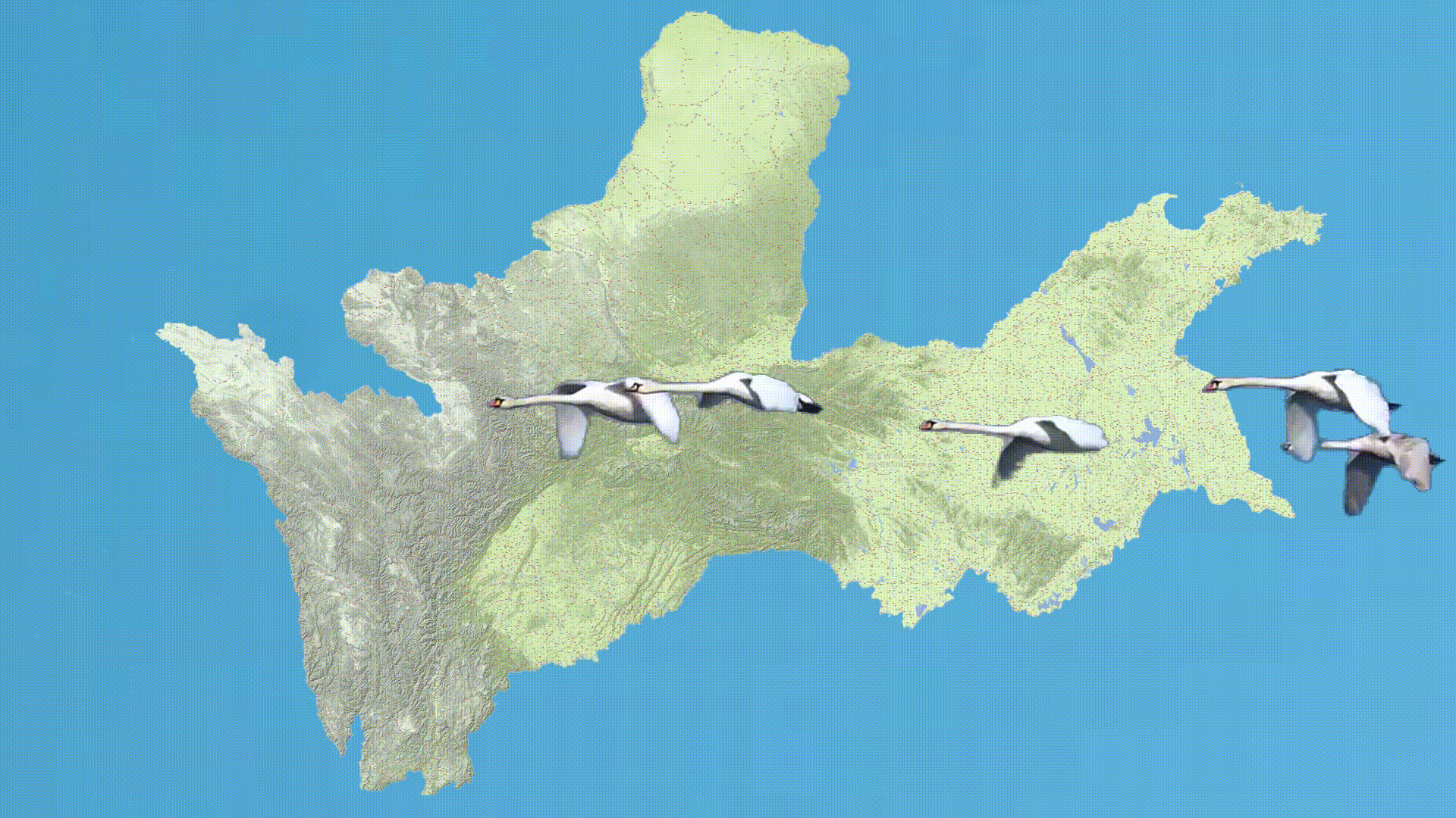 雁勋章[00h00m00s-00h00m09s].gif