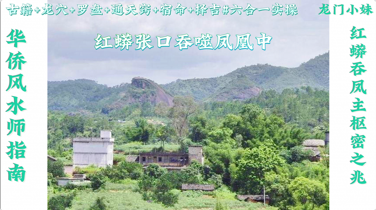 红蟒吞凤-------.png