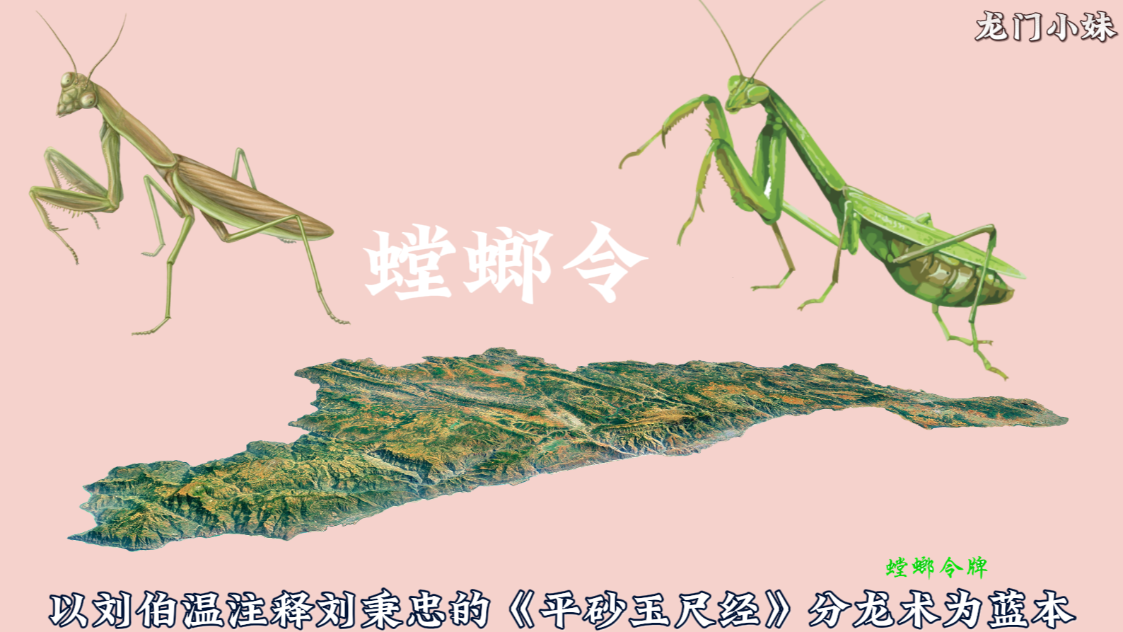 鳄鱼龙形00.png