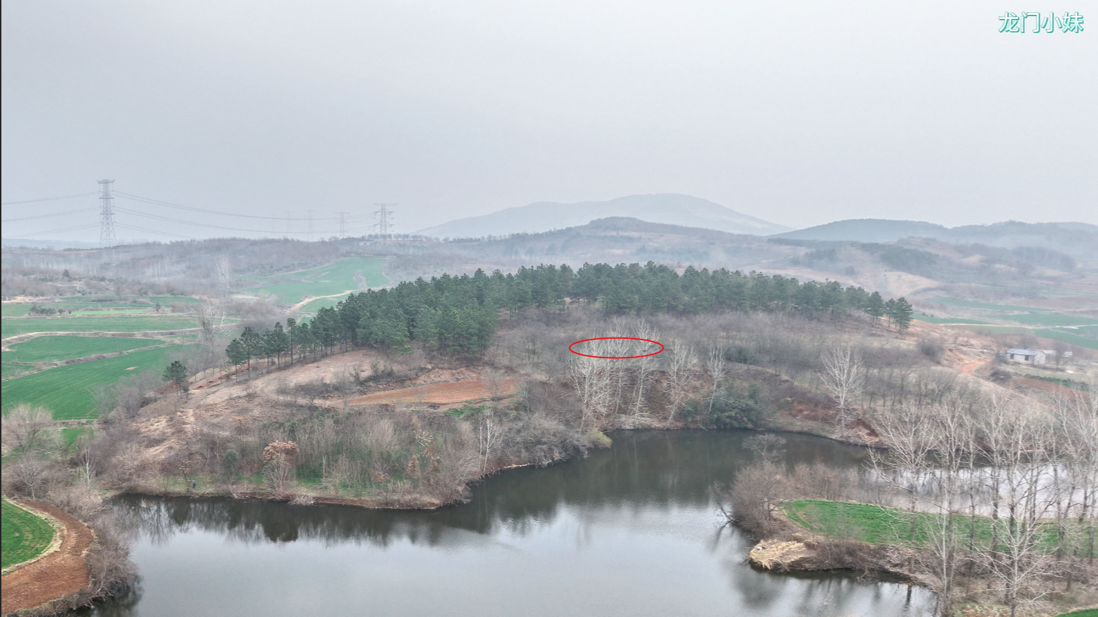 远程协助龙友点穴 - 协纪风水视频网.png