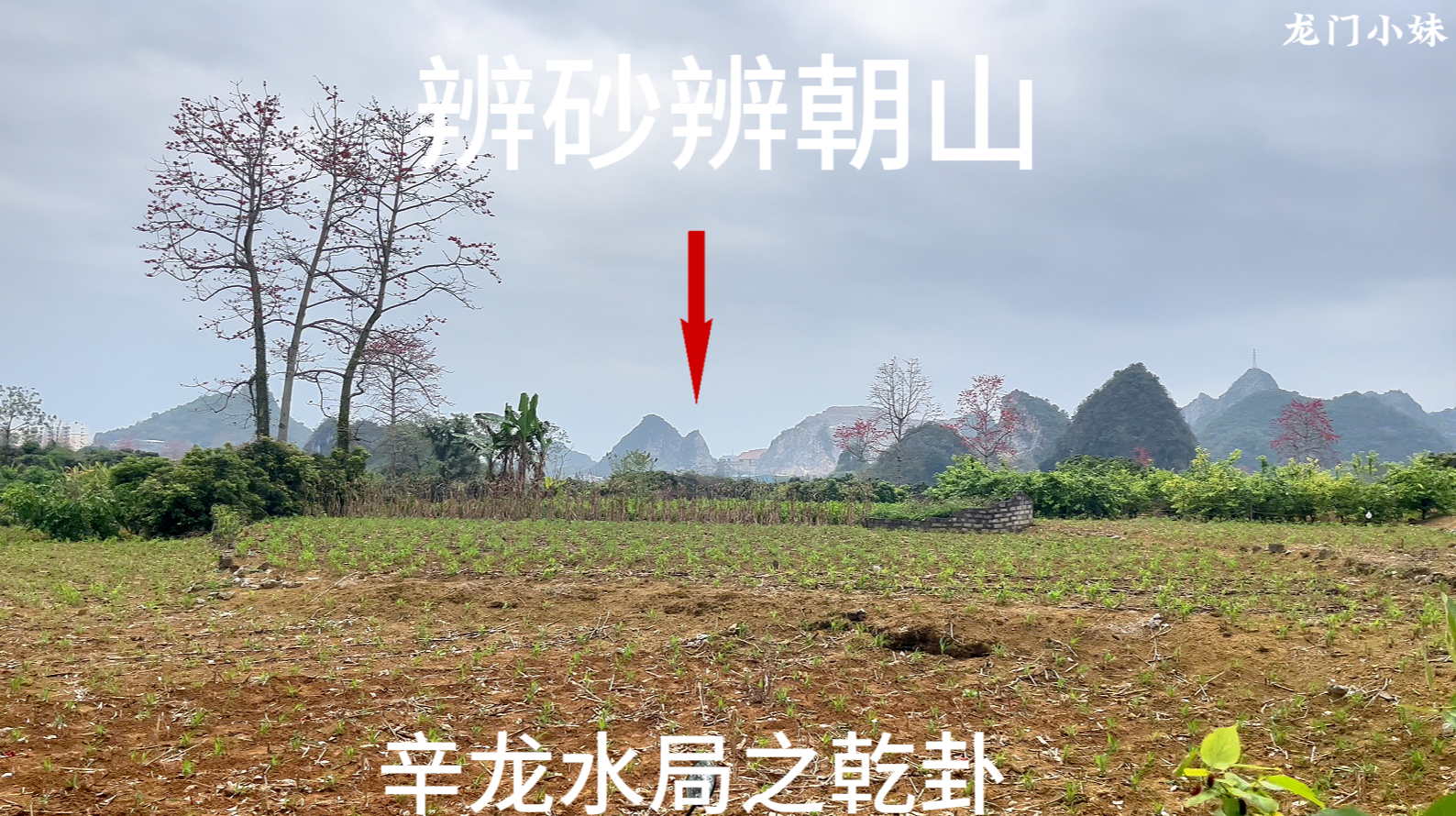 以砂水局朝  认定穴位法.png