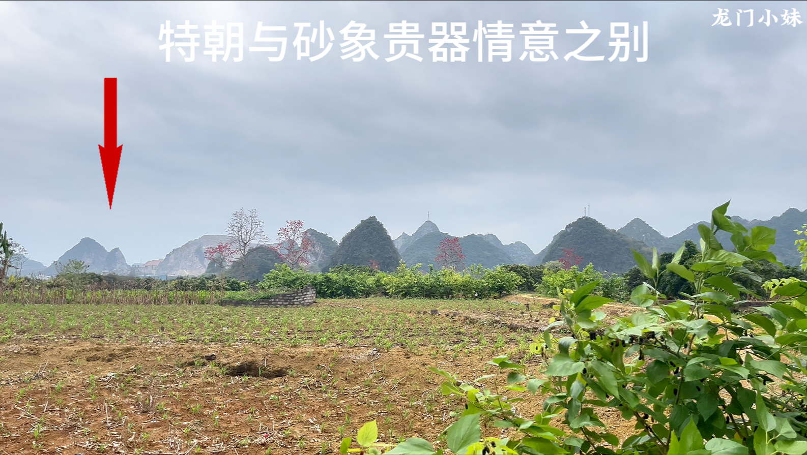 以砂水局朝  认定穴位法3.png