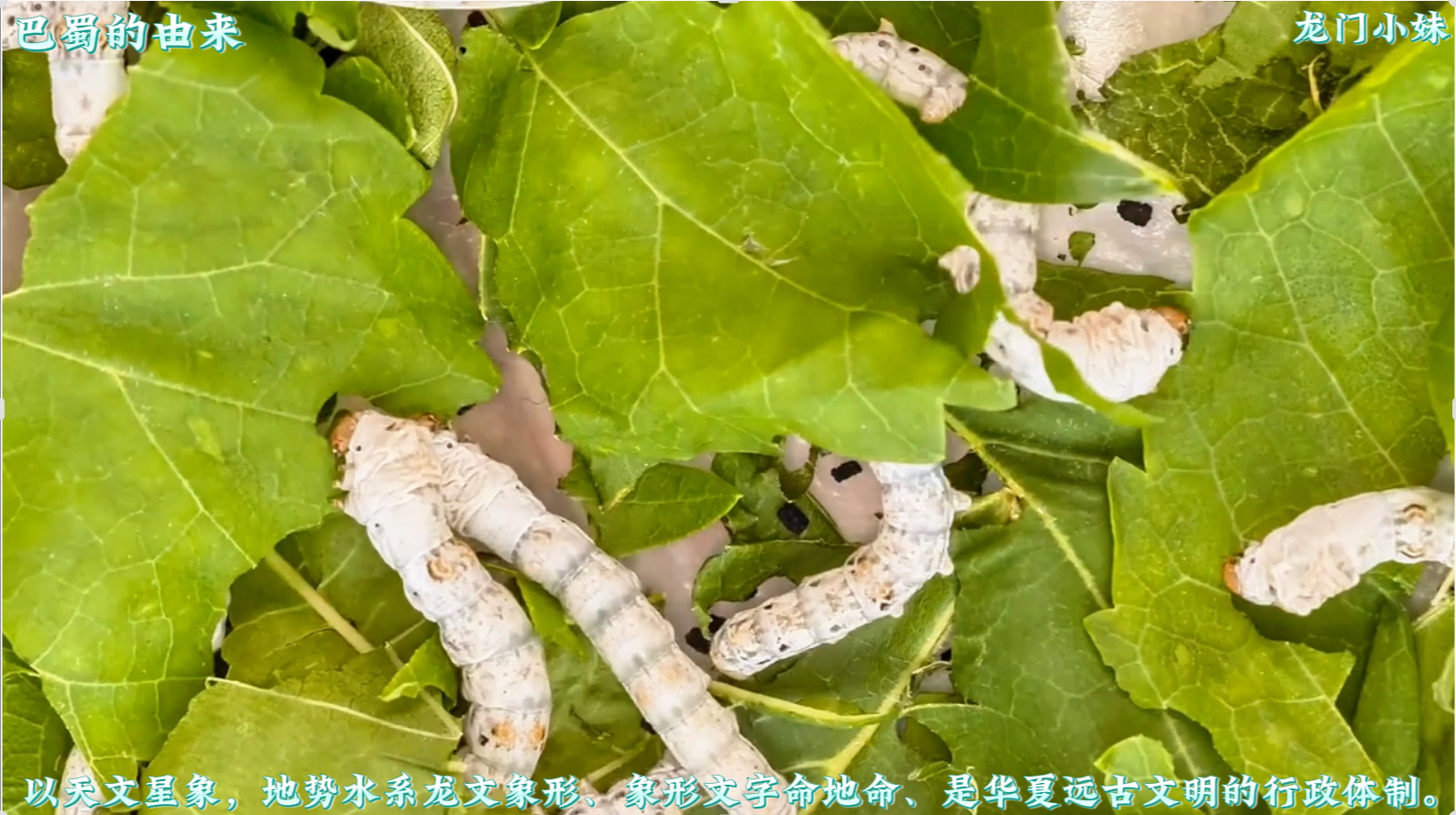 巴蜀的由来3.png