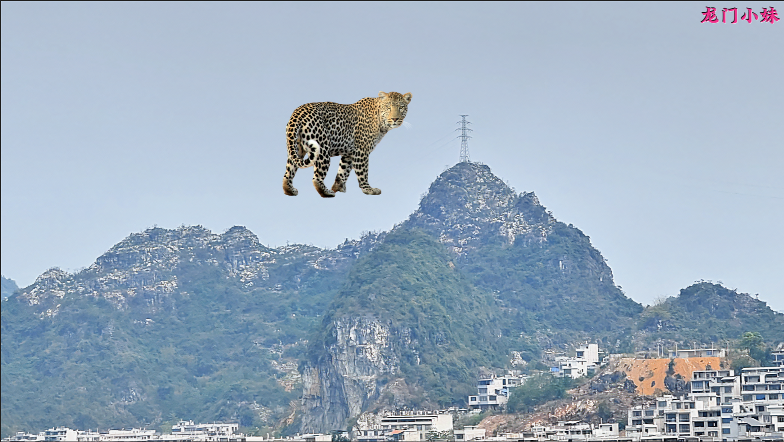 武官坐堂，此地广西平果市2.png