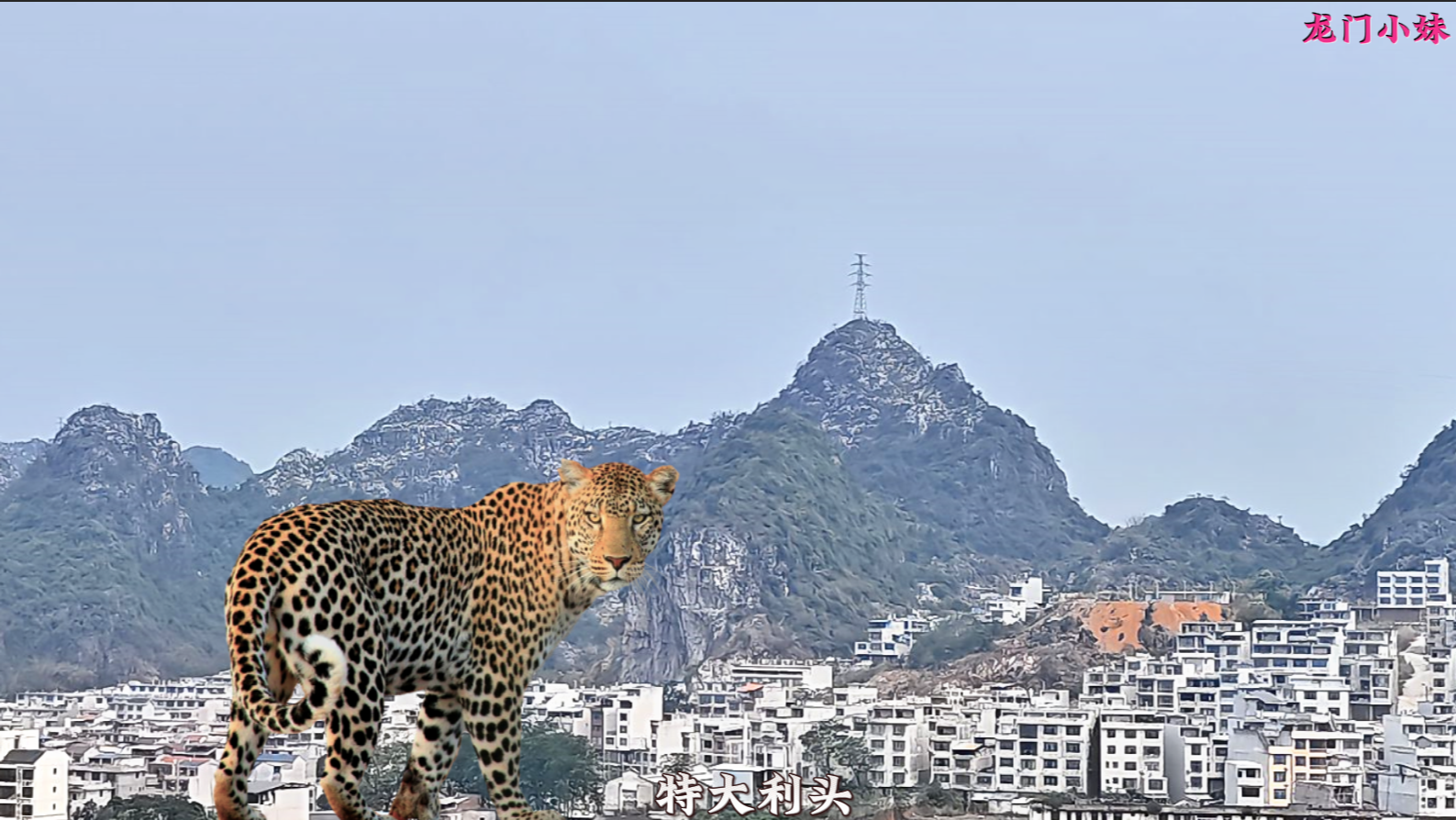 武官坐堂，此地广西平果市3.png