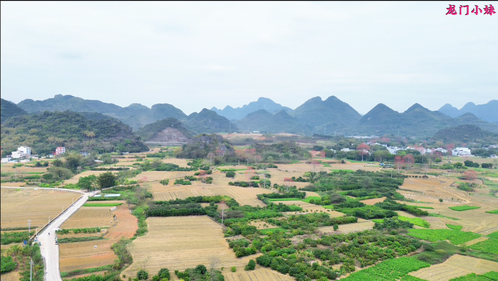 武官坐堂，此地广西平果市5.png