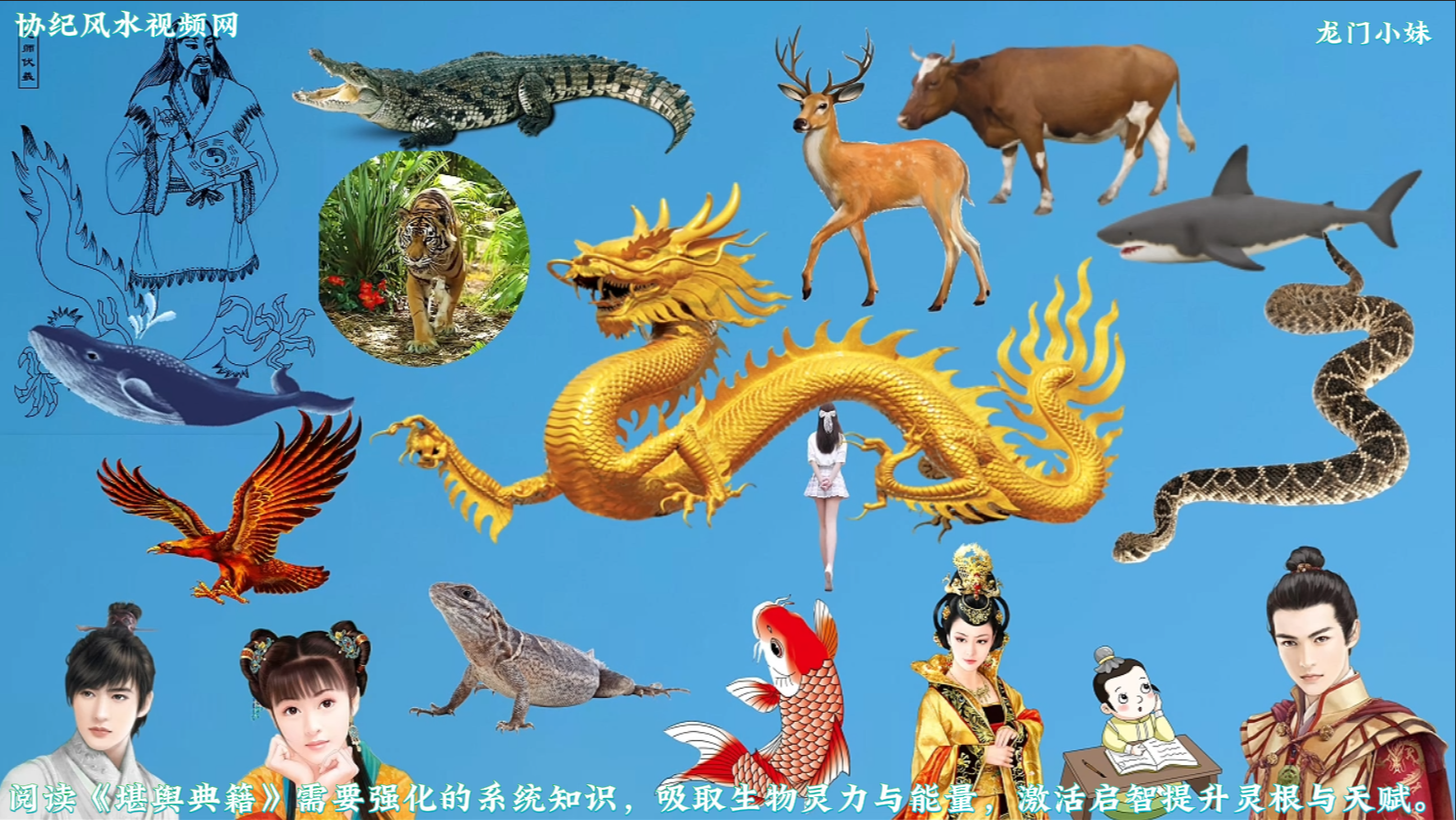 获取百灵的能量，风水堪舆第一课5.png