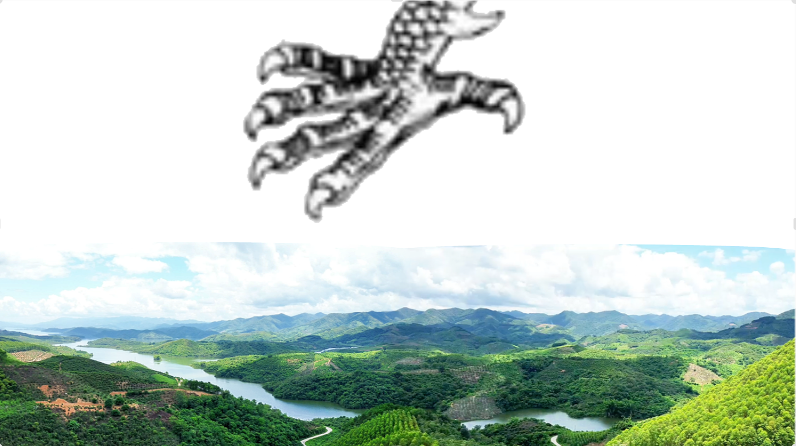 广西龙爪贵器局朝1.png