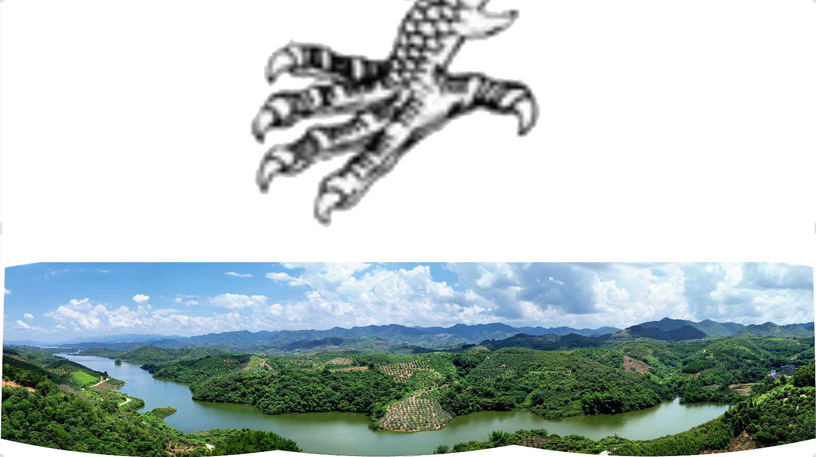 广西龙爪贵器局朝2.png